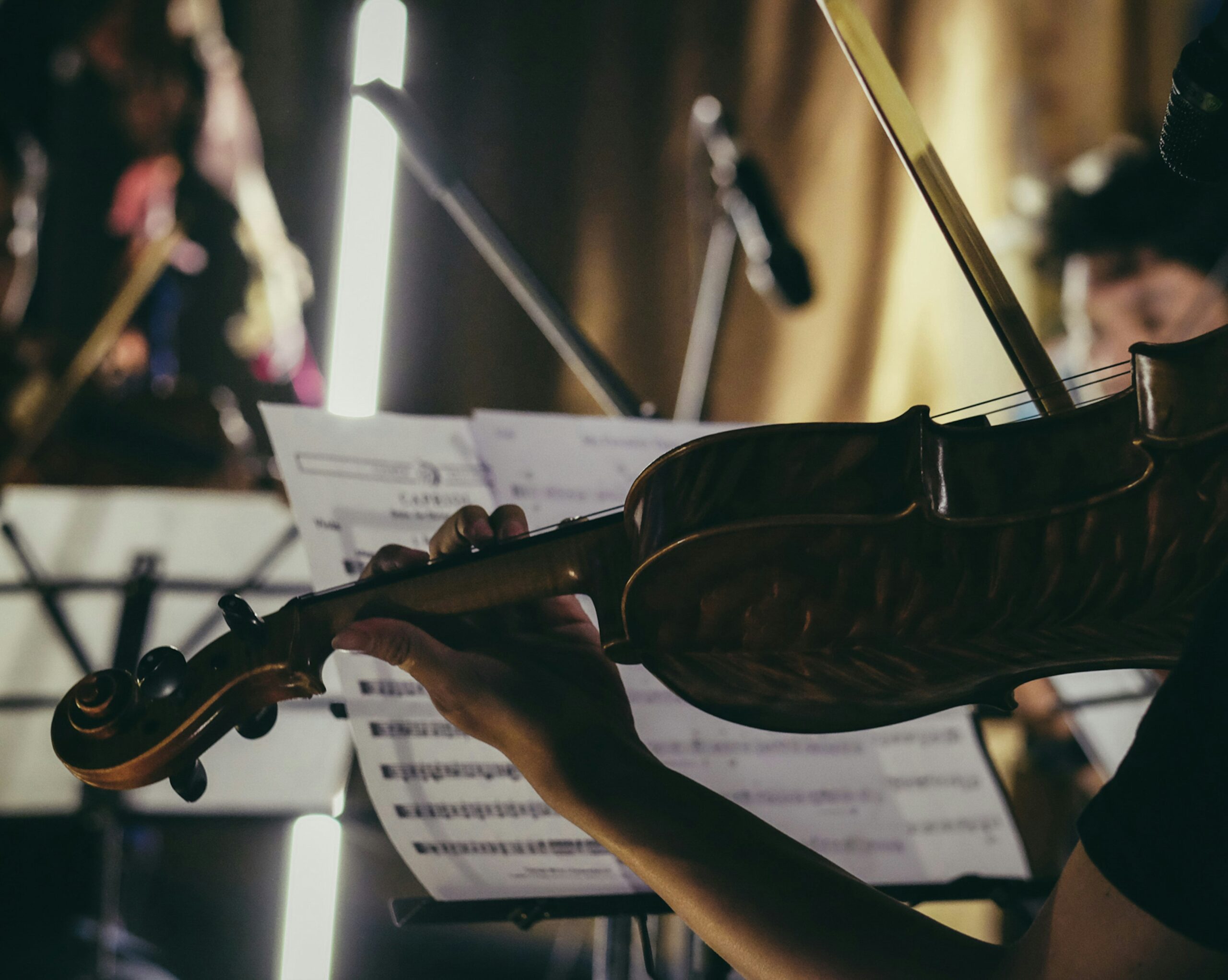 Strings Quartet